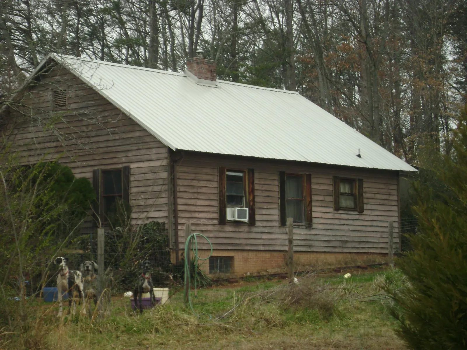 White metal roof on an old wood sided farmhouse, from a Asphalt Shingle Roof Repair job in Maidsville